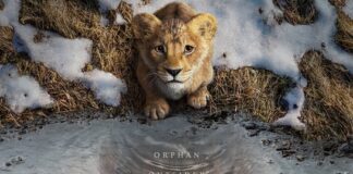 Mufasa: O Rei Leão Poster
