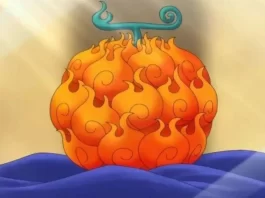Tipos de Frutas do Diabo de One Piece